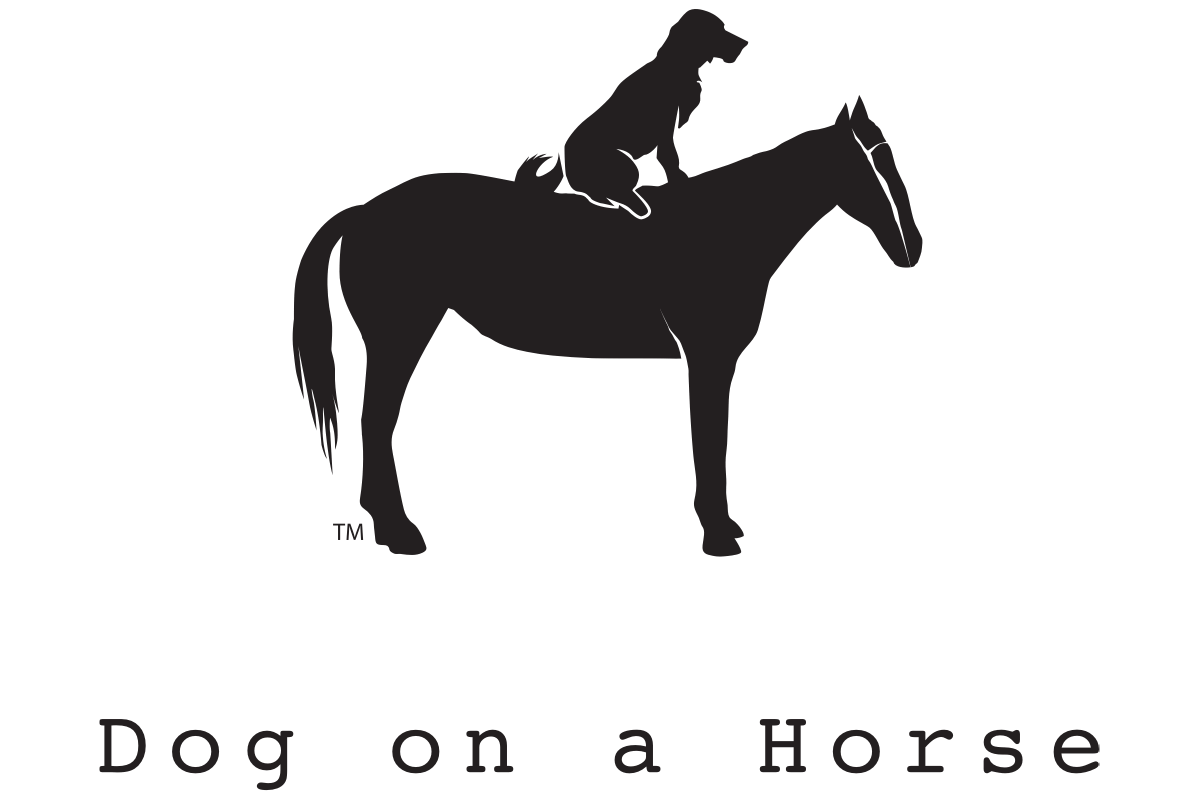 The Company Logo: A Graphic of a Dog sitting on a Horse.