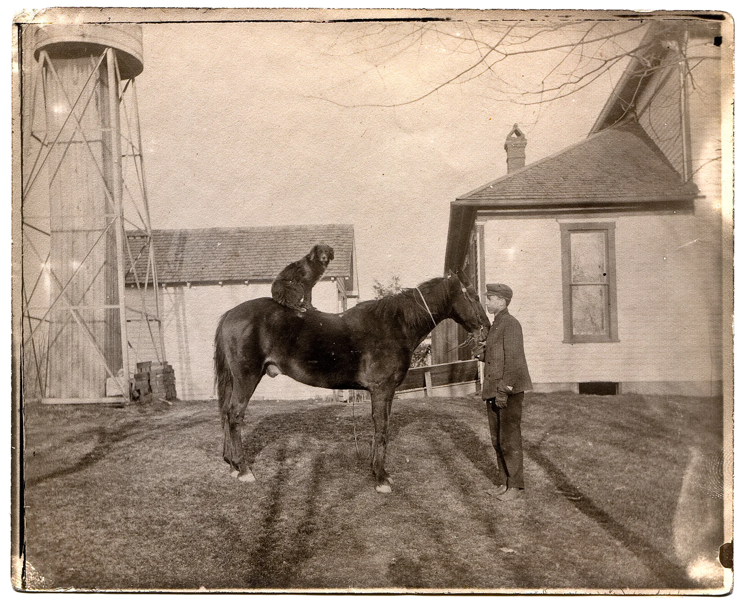 Woody's great great grandfather standing next to his horse with his dog sitting on top.